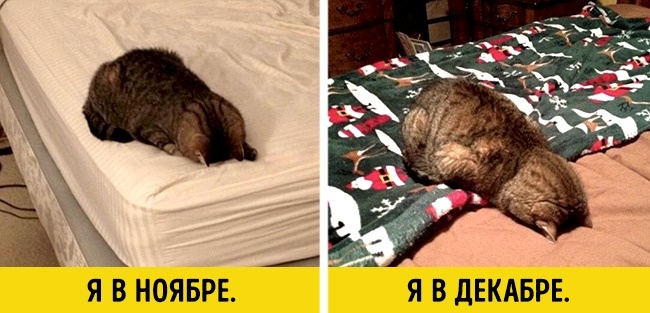 Ось чим ділилися один з одним користувачі мережі в 2016 році
