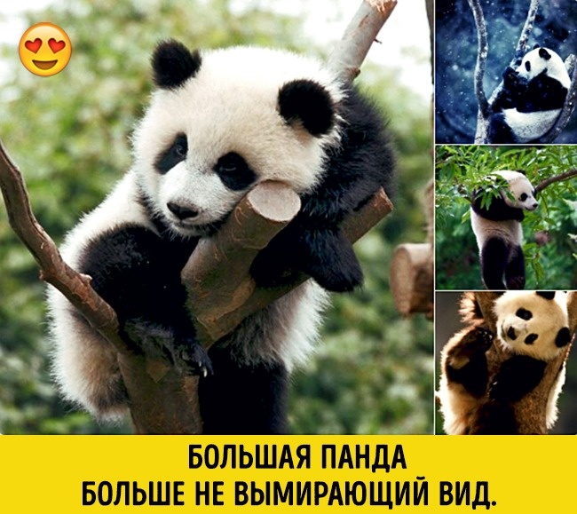 Ось чим ділилися один з одним користувачі мережі в 2016 році