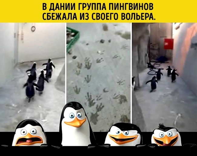 Ось чим ділилися один з одним користувачі мережі в 2016 році