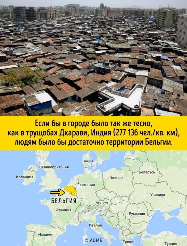 От скільки місця потрібно людству, якщо всі вирішать жити в одному місті