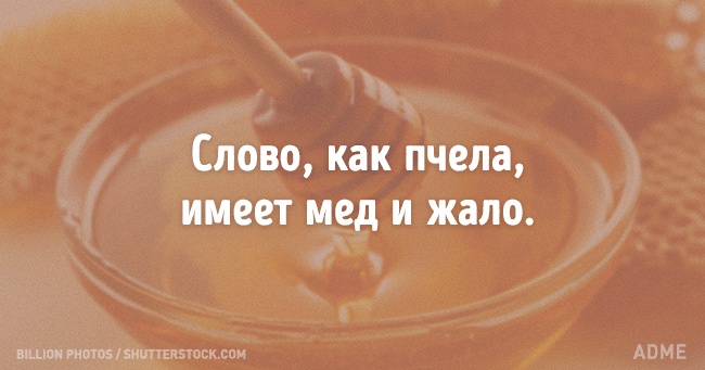 Португальської мудрості пост