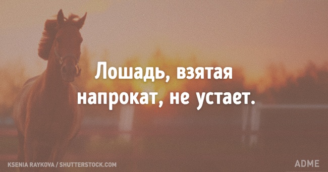 Португальської мудрості пост