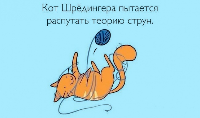 Про що жартують вчені