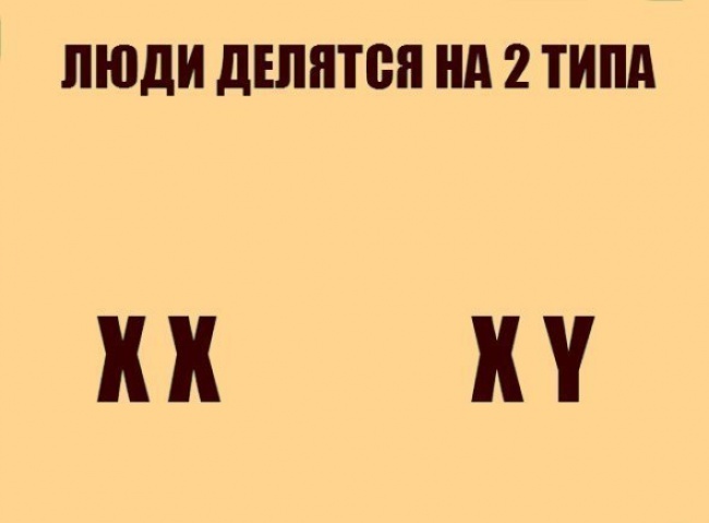 Про що жартують вчені