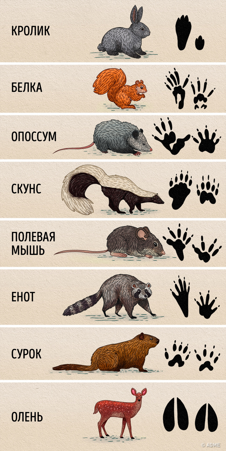 Речі, які врятують вам життя, коли здається, що все пропало