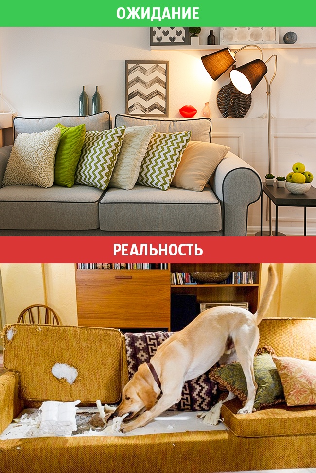 Сімейне життя: очікування і реальність