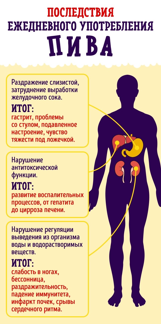 Що буде, якщо пити пиво кожен день