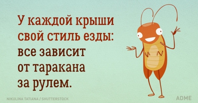 Що потрібно знати про нормальність