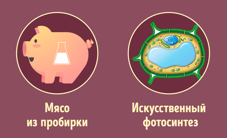 Що стане з людьми, якщо вчені нарешті зрозуміють, як побороти старість