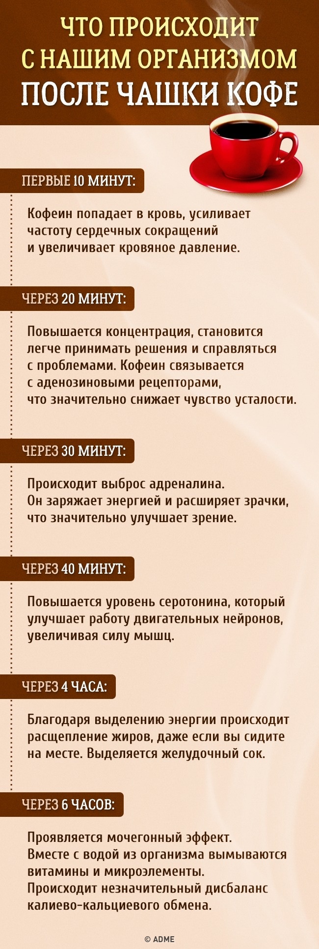 Що відбувається з нашим організмом після чашки кави