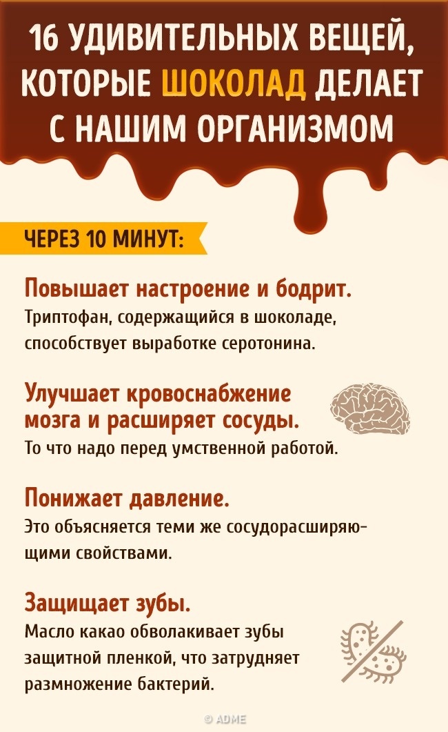 Що відбувається з нашим організмом після часточки шоколаду