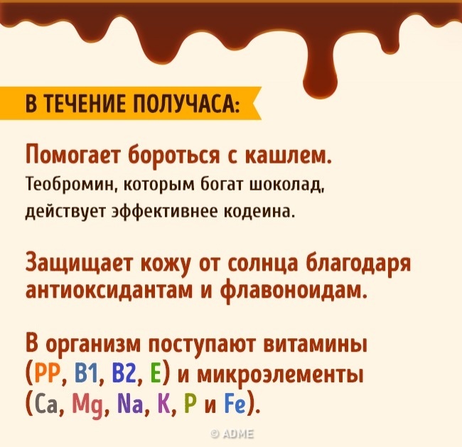 Що відбувається з нашим організмом після часточки шоколаду