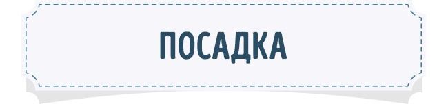 Шпаргалка: як вибрати ідеальні джинси