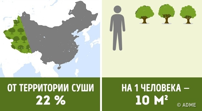Скільки дерев припадає на кожного жителя в різних країнах