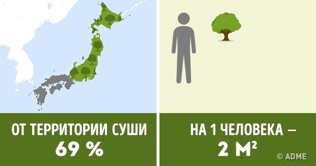 Скільки дерев припадає на кожного жителя в різних країнах
