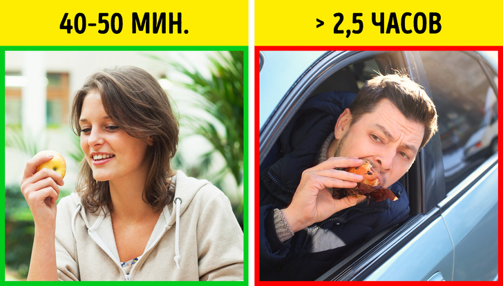 Скільки перетравлюються різні продукти (Тепер зрозуміло, що краще з’їсти перед сном)