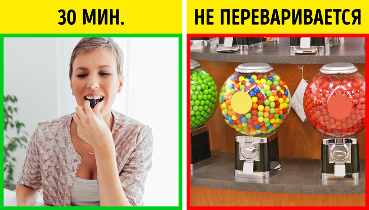 Скільки перетравлюються різні продукти (Тепер зрозуміло, що краще з’їсти перед сном)