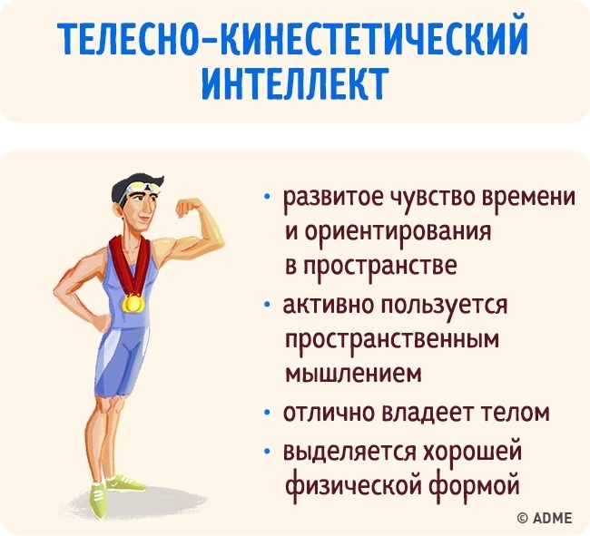 Існують 9 типів інтелекту, які визначають наше майбутнє