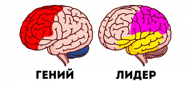Існують 9 типів інтелекту, які визначають наше майбутнє