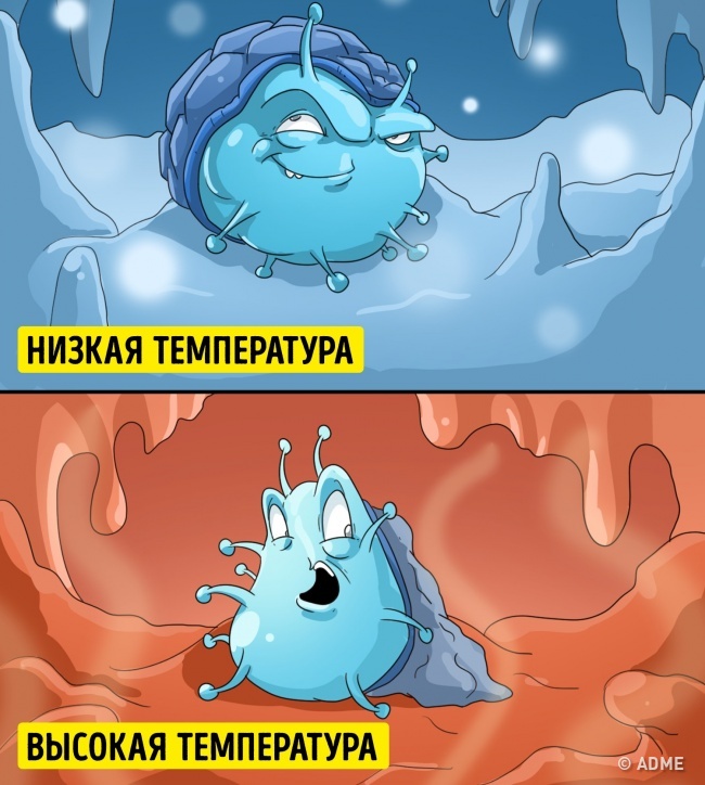 Стаття, яка покладе край суперечкам про те, чи можна захворіти від холоду