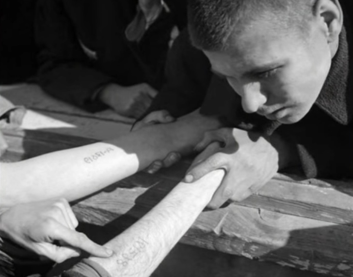 Історія татуювальника з Освенцима, який зумів не лише вижити, але і знайти свою любов в концтаборі