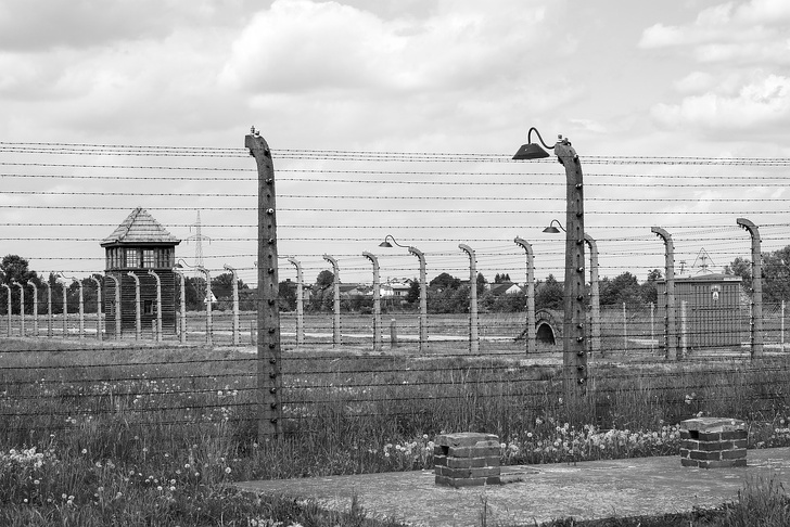Історія татуювальника з Освенцима, який зумів не лише вижити, але і знайти свою любов в концтаборі